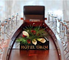 Hotel Drim
