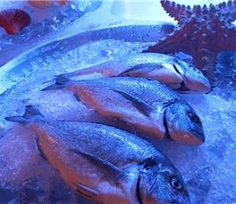 Hapimag Sea Garden Resort