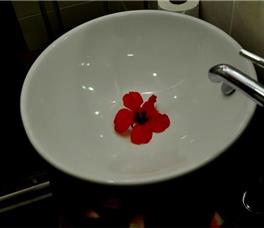 Concordia Celes Beach