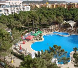 Dolce Vita by Bonita Classic