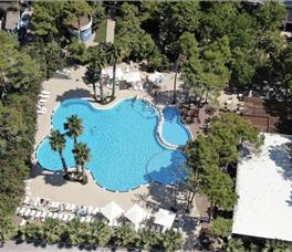 Dolce Vita by Bonita Classic