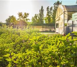 Botanik Exclusive Resort