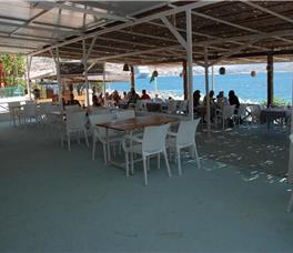 Oceanic Overview Suites