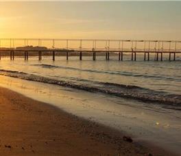 Sentido Turan Prince