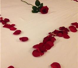 Sandy Beach  Resort - Hard Allotment