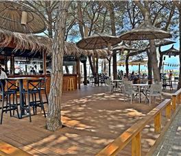 Sandy Beach Resort - Hard Allotment