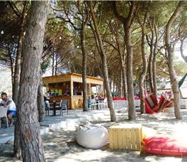 Sandy Beach Resort - Hard Allotment